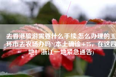 去香港旅游需要什么手续,怎么办理的玉环市去农场办吗?(本土确诊+75，在这四地！浙江一地紧急通告)