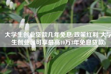大学生创业贷款几年免息(政策红利 大学生创业者可享最高10万3年免息贷款)
