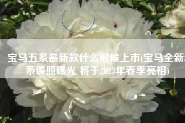 宝马五系最新款什么时候上市(宝马全新5系谍照曝光 将于2023年春季亮相)