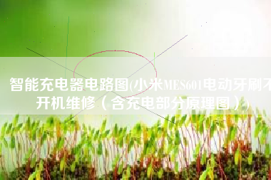 智能充电器电路图(小米MES601电动牙刷不开机维修（含充电部分原理图）)