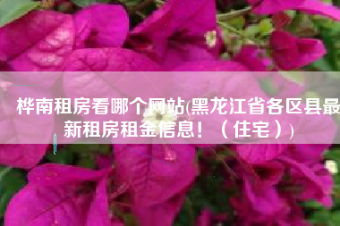 桦南租房看哪个网站(黑龙江省各区县最新租房租金信息！（住宅）)
