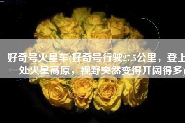 好奇号火星车(好奇号行驶27.5公里，登上一处火星高原，视野突然变得开阔得多)