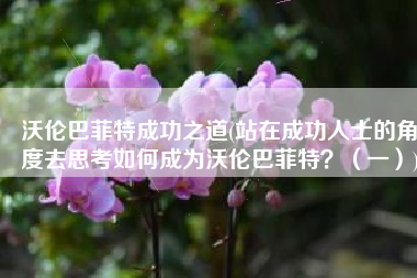 沃伦巴菲特成功之道(站在成功人士的角度去思考如何成为沃伦巴菲特？（一）)