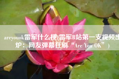 areyouok雷军什么梗(雷军B站第一支视频出炉：网友弹幕狂刷“Are You OK”)