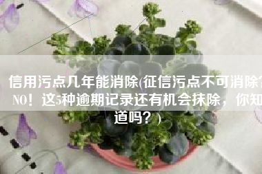 信用污点几年能消除(征信污点不可消除？NO！这5种逾期记录还有机会抹除，你知道吗？)