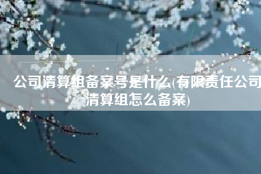 公司清算组备案号是什么(有限责任公司清算组怎么备案)