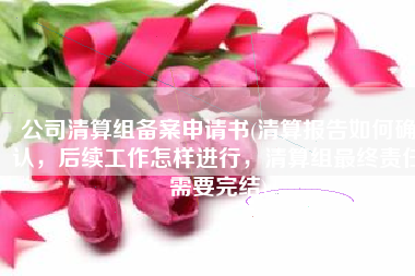 公司清算组备案申请书(清算报告如何确认，后续工作怎样进行，清算组最终责任需要完结)