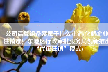 公司清算组备案属于什么注销(化解企业注销难！东港区行政审批服务局创新推出“代位注销”模式)