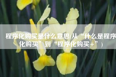 程序化购买是什么意思(从“什么是程序化购买”到“程序化购买+”)