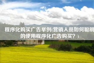 程序化购买广告举例(营销人员如何聪明的使用程序化广告购买？)
