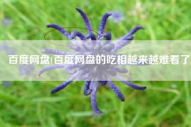 百度网盘(百度网盘的吃相越来越难看了)