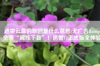 迅雷云盘的取回是什么意思(无广告&免费“离线下载”！迅雷11正式版全体验)