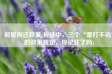 房屋拆迁政策(拆迁中，三个“雷打不动”的政策规定，你记住了吗)