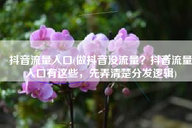 抖音流量入口(做抖音没流量？抖音流量入口有这些，先弄清楚分发逻辑)