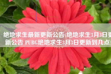 绝地求生最新更新公告(绝地求生3月3日更新公告 PUBG绝地求生3月3日更新到几点)