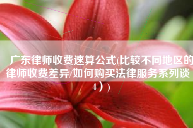 广东律师收费速算公式(比较不同地区的律师收费差异/如何购买法律服务系列谈（4）)