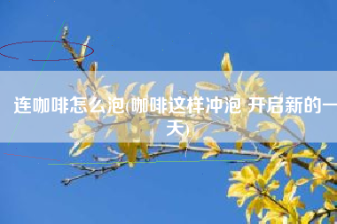 连咖啡怎么泡(咖啡这样冲泡 开启新的一天)