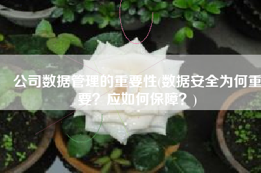 公司数据管理的重要性(数据安全为何重要？应如何保障？)