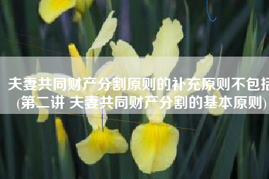 夫妻共同财产分割原则的补充原则不包括(第二讲 夫妻共同财产分割的基本原则)