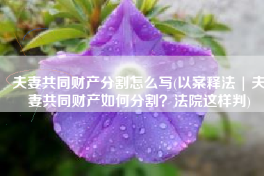 夫妻共同财产分割怎么写(以案释法 | 夫妻共同财产如何分割？法院这样判)