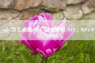 wpa3怎么设置(WLAN安全策略-WEP、WPA/WPA2、WPA3、)