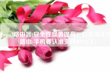 wpa3路由器(安全性显著提高：以后买无线路由/手机要认准支持WPA3了)