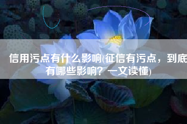 信用污点有什么影响(征信有污点，到底有哪些影响？一文读懂)