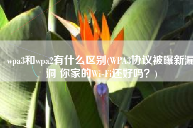 wpa3和wpa2有什么区别(WPA3协议被曝新漏洞 你家的Wi-Fi还好吗？)