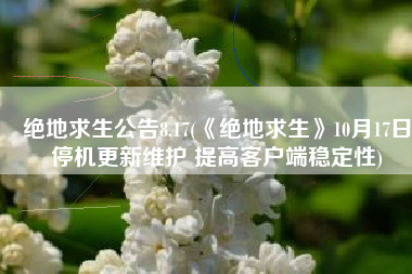 绝地求生公告8.17(《绝地求生》10月17日停机更新维护 提高客户端稳定性)