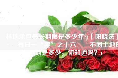 林地承包最长期限是多少年?(「阳晓法」· 每日一“典”之十六  不同土地的承包期是多少，你知道吗？)