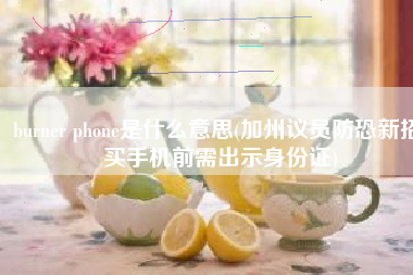 burner phone是什么意思(加州议员防恐新招 买手机前需出示身份证)