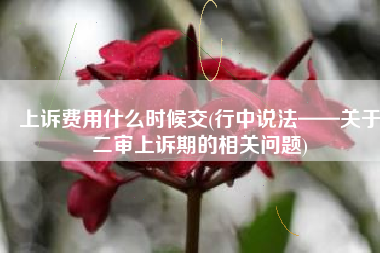 上诉费用什么时候交(行中说法——关于二审上诉期的相关问题)