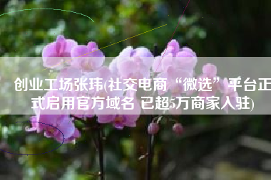 创业工场张玮(社交电商“微选”平台正式启用官方域名 已超5万商家入驻)