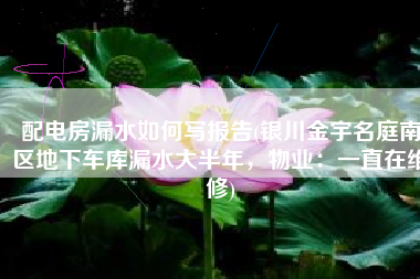 配电房漏水如何写报告(银川金宇名庭南区地下车库漏水大半年，物业：一直在维修)