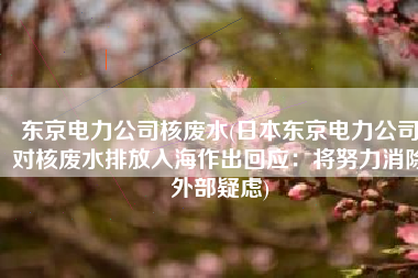 东京电力公司核废水(日本东京电力公司对核废水排放入海作出回应：将努力消除外部疑虑)