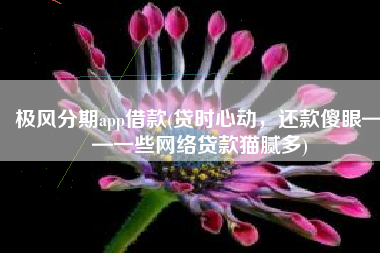 极风分期app借款(贷时心动，还款傻眼——一些网络贷款猫腻多)
