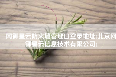 网御星云防火墙管理口登录地址(北京网御星云信息技术有限公司)