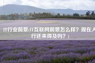 IT行业前景(IT互联网前景怎么样？现在入行还来得及吗？)