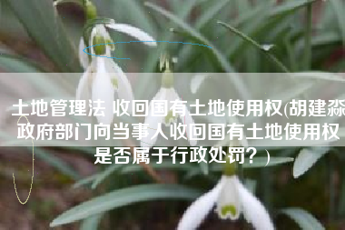 土地管理法 收回国有土地使用权(胡建淼：政府部门向当事人收回国有土地使用权 是否属于行政处罚？)