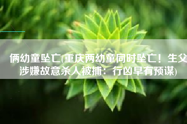 俩幼童坠亡(重庆两幼童同时坠亡！生父涉嫌故意杀人被捕：行凶早有预谋)