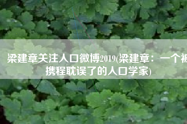 梁建章关注人口微博2019(梁建章：一个被携程耽误了的人口学家)