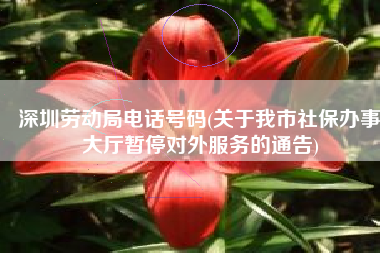 深圳劳动局电话号码(关于我市社保办事大厅暂停对外服务的通告)