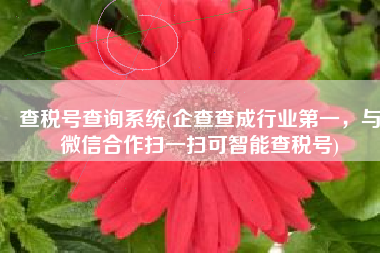 查税号查询系统(企查查成行业第一，与微信合作扫一扫可智能查税号)