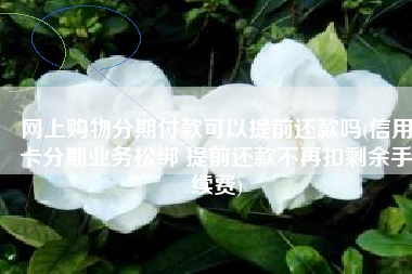 网上购物分期付款可以提前还款吗(信用卡分期业务松绑 提前还款不再扣剩余手续费)