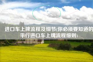 进口车上牌流程及细节(你必须要知道的平行进口车上牌流程细则)