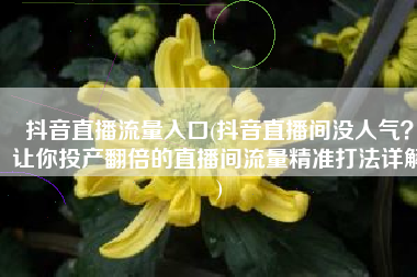 抖音直播流量入口(抖音直播间没人气？让你投产翻倍的直播间流量精准打法详解)