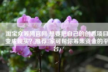 淘宝众筹网官网(想要把自己的创意项目变成现实？推荐7家可帮你筹集资金的平台)