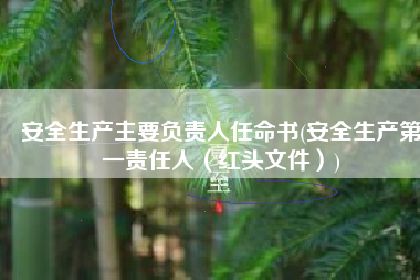 安全生产主要负责人任命书(安全生产第一责任人（红头文件）)