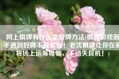 网上棋牌有什么拿好牌方法(棋牌游戏新手遇到好牌不要紧张！老沈棋牌让你在麻将场上运筹帷幄，不错失良机！)