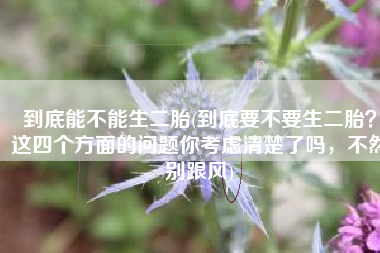 到底能不能生二胎(到底要不要生二胎？这四个方面的问题你考虑清楚了吗，不然别跟风)